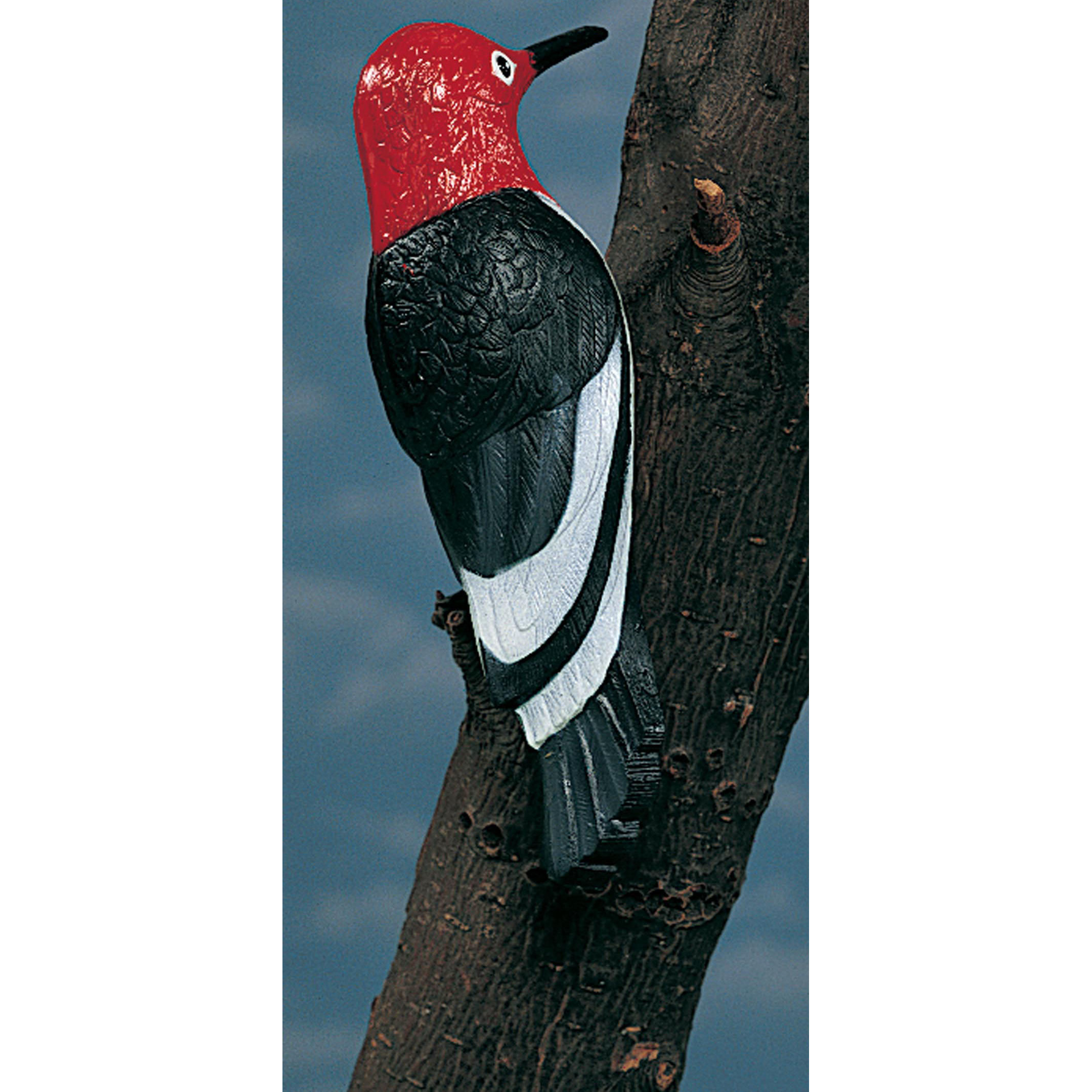 Artline Woodpecker Tree Statue & Reviews | Wayfair