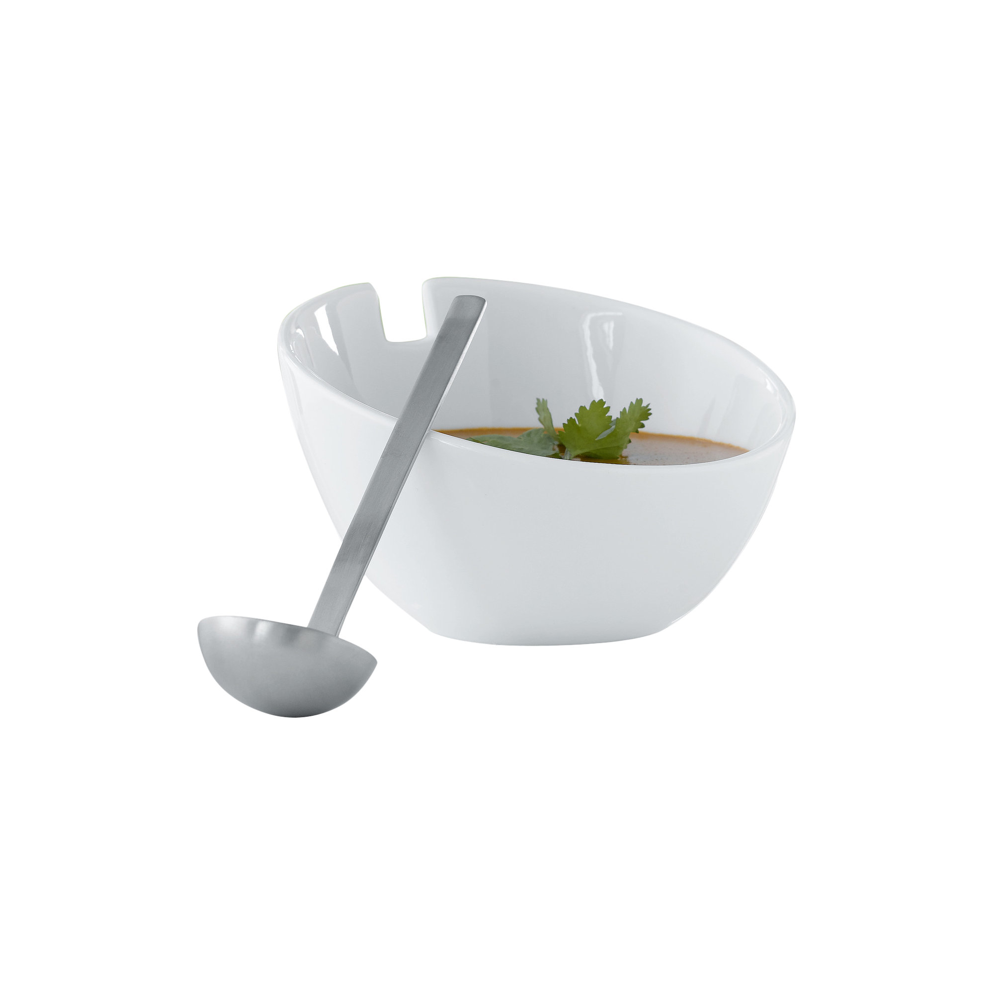 Steel Function Milano Porcelain Dressing Bowl with Ladle Wayfair.co.uk