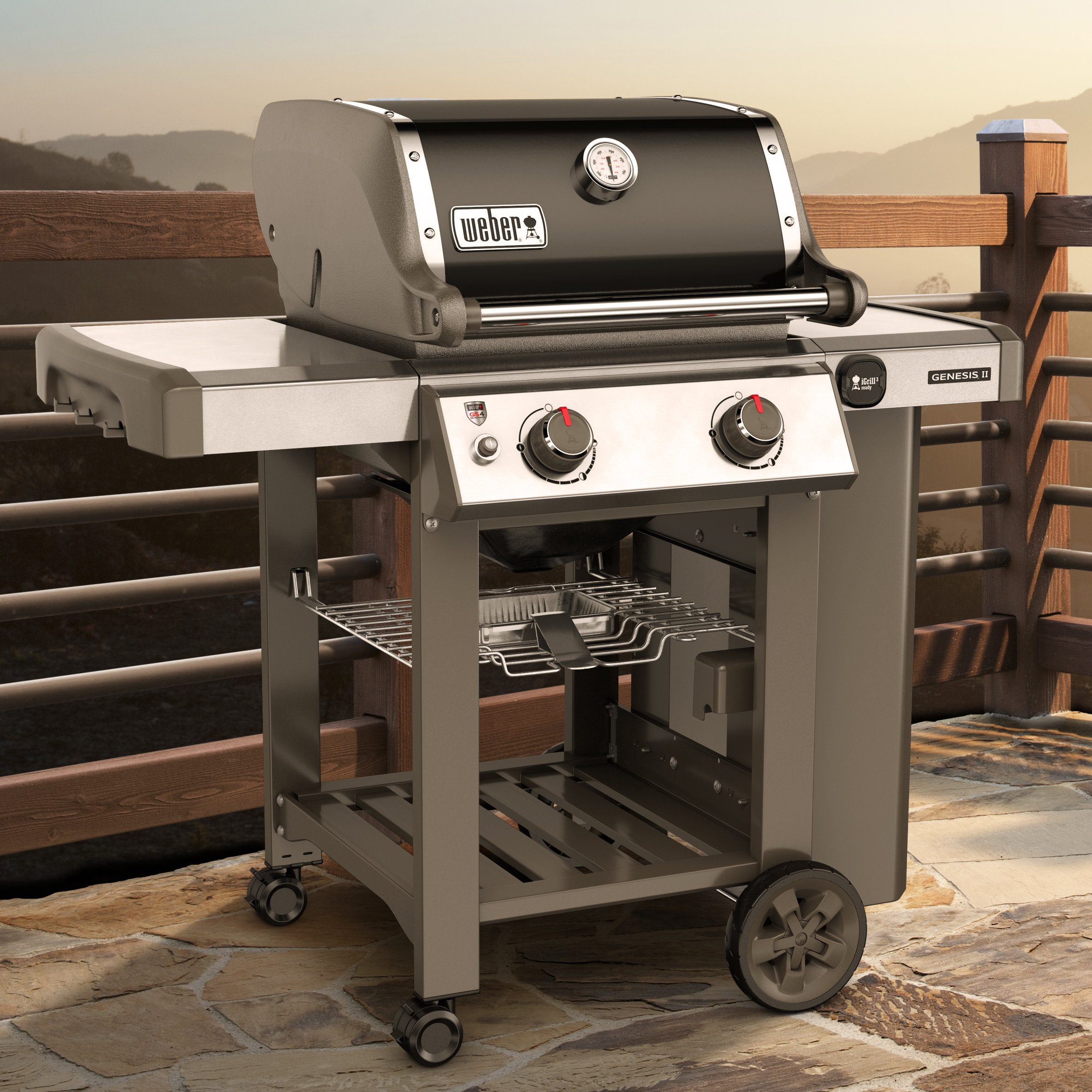 er Genesis II E210 2Burner Propane Gas Grill with Side Shelves