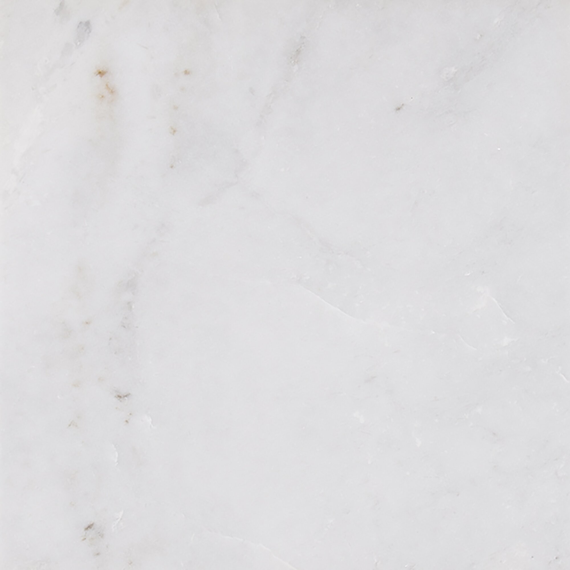 MSI 12" X 12" Marble Tile In Arabescato Carrara & Reviews | Wayfair