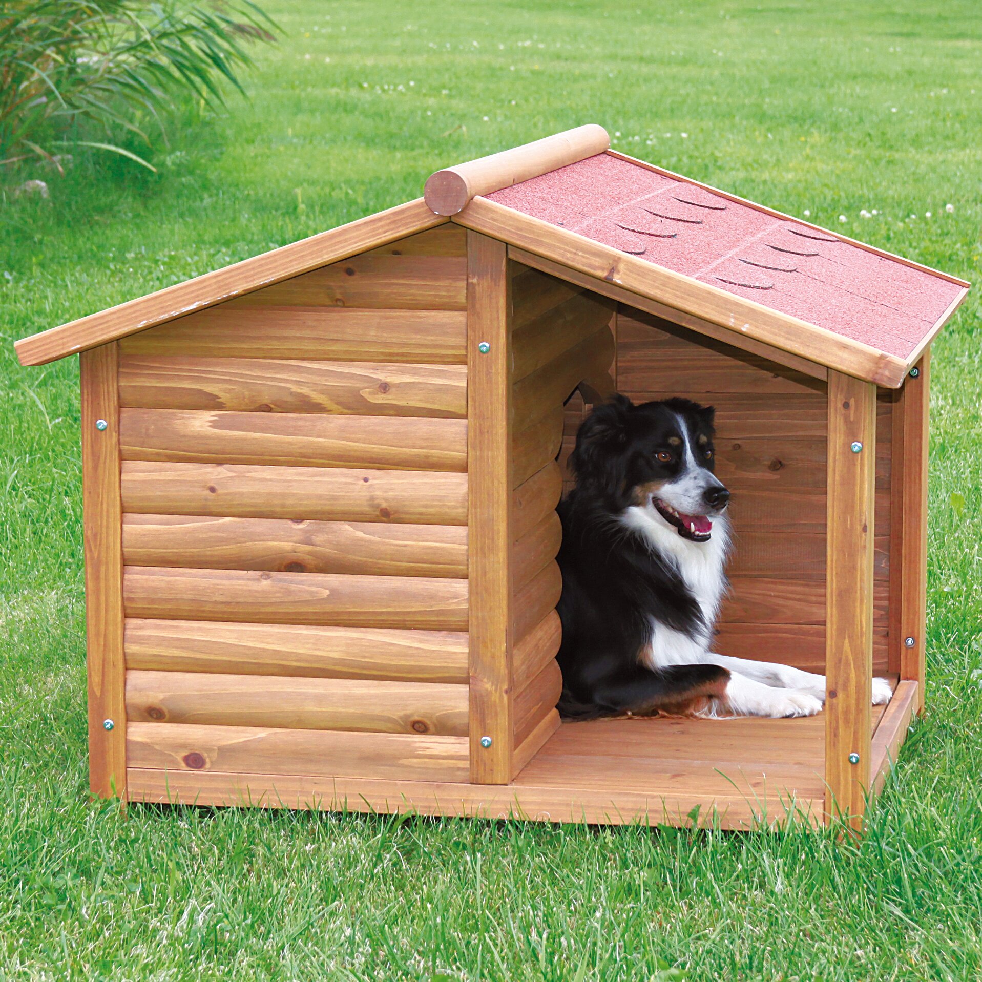 Dog Houses Wayfair