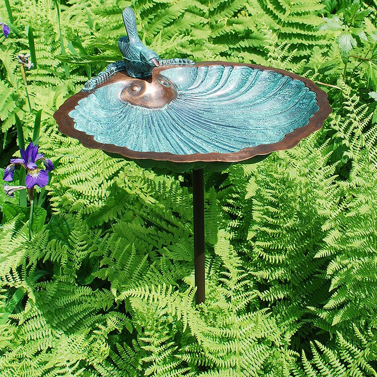 ACHLA Scallop Shell Bird Bath with Stand & Reviews | Wayfair