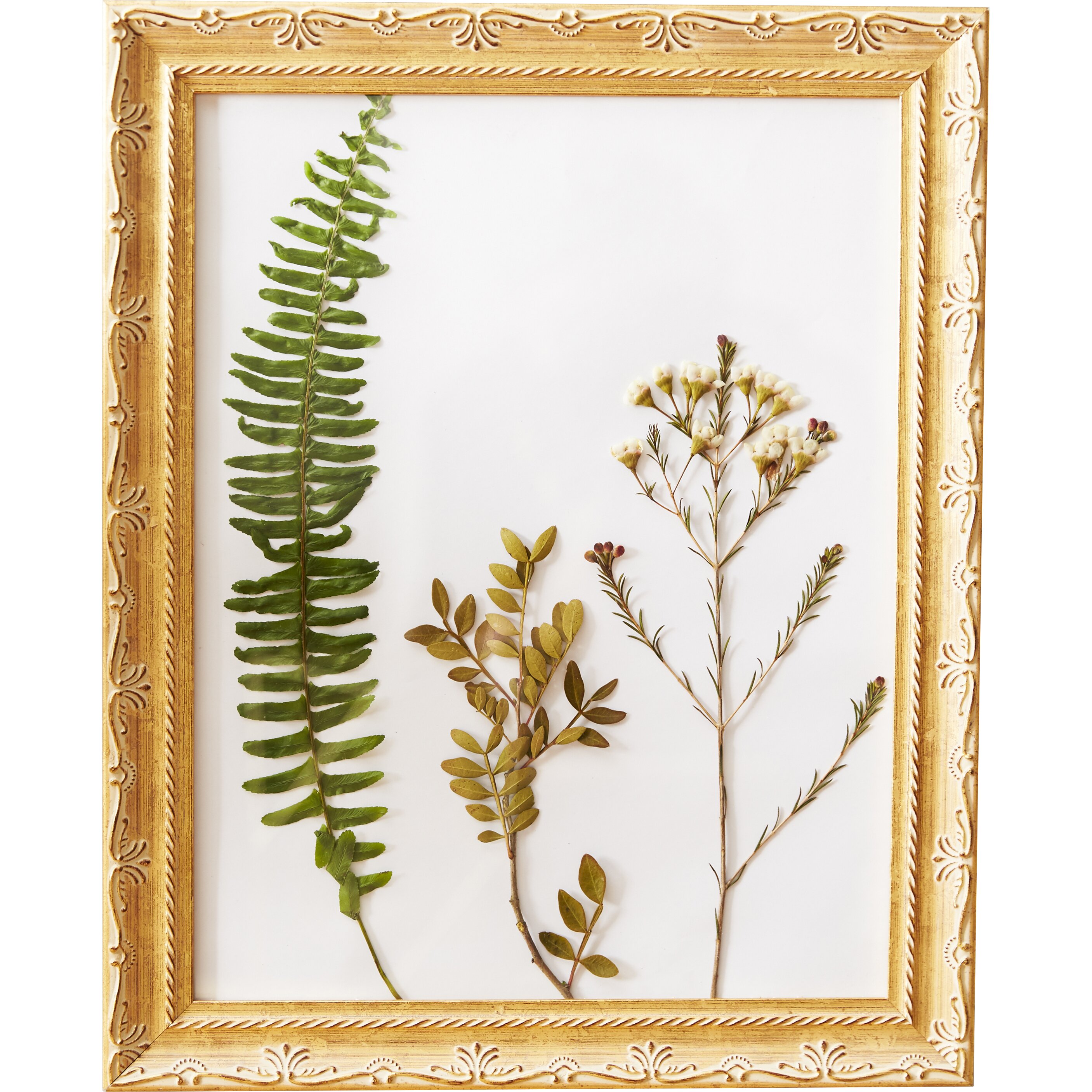 Timeless Frames Lira Solid Wood Wall Frame & Reviews | Wayfair