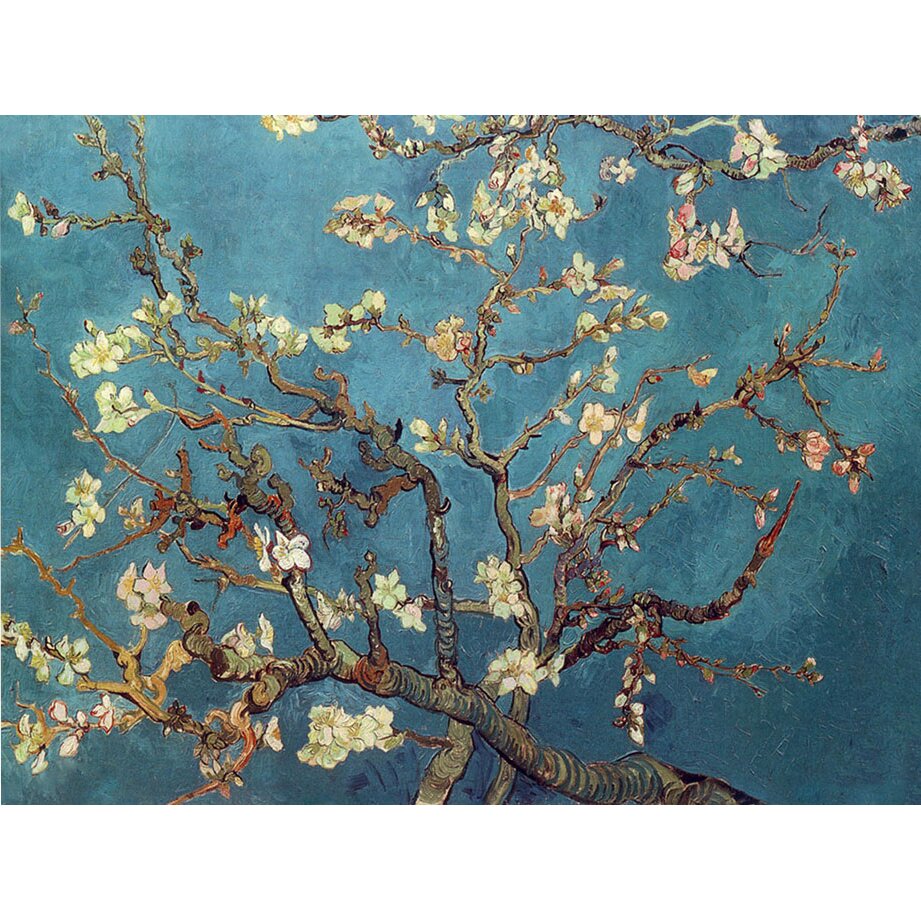 Trademark Art Almond Blossoms' by Vincent Van Gogh Framed on Canvas ...