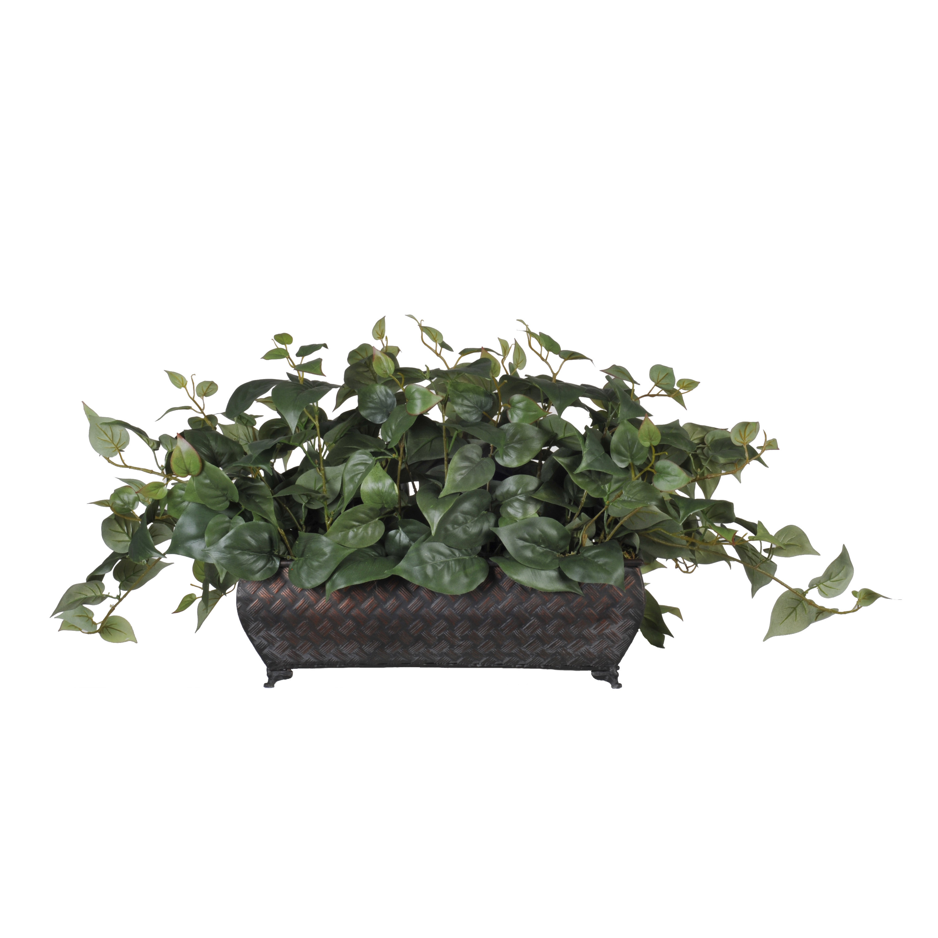 House of Silk Flowers Artificial Philo Ledge Desk Top Plant in Planter