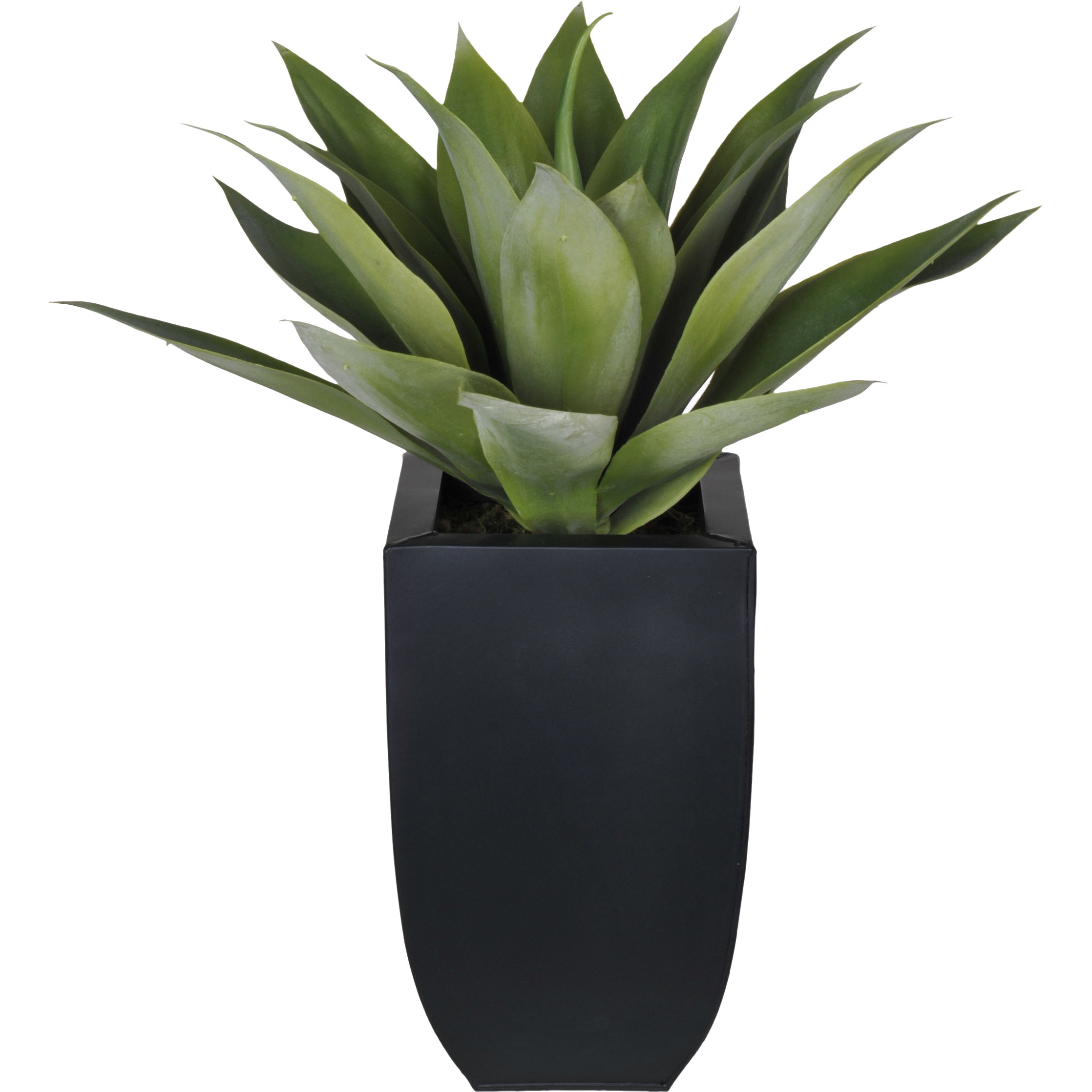 House of Silk Flowers Artificial Desk Top Plant in Vase