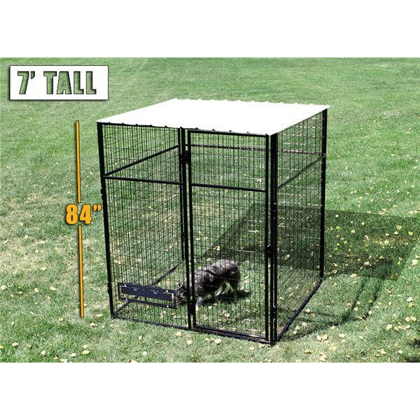 K9 Kennel Animal Enclosure with Metal Corrugated Roof Wayfair