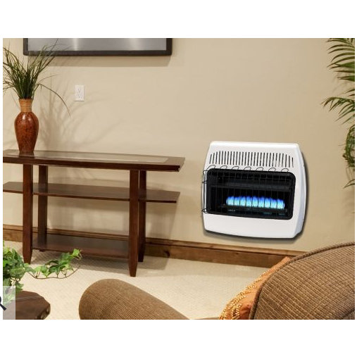 Dyna-Glo 30,000 BTU Wall Mounted Natural Gas Manual Vent ...
