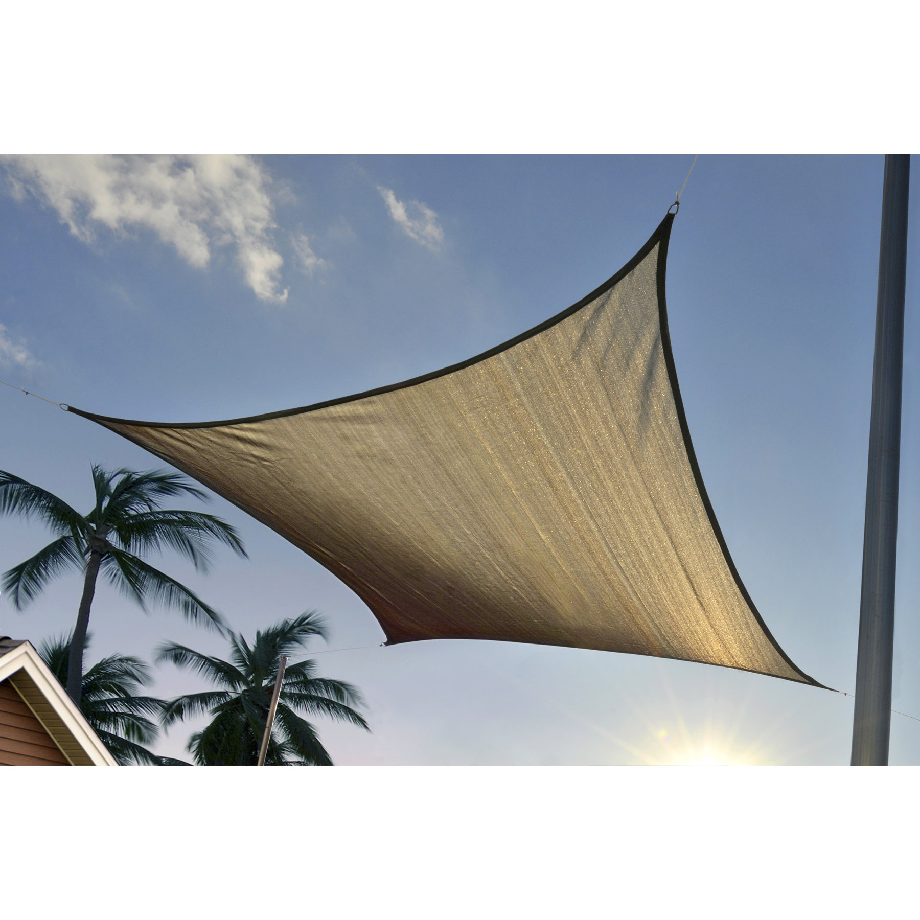 ShelterLogic Shade Sail & Reviews Wayfair