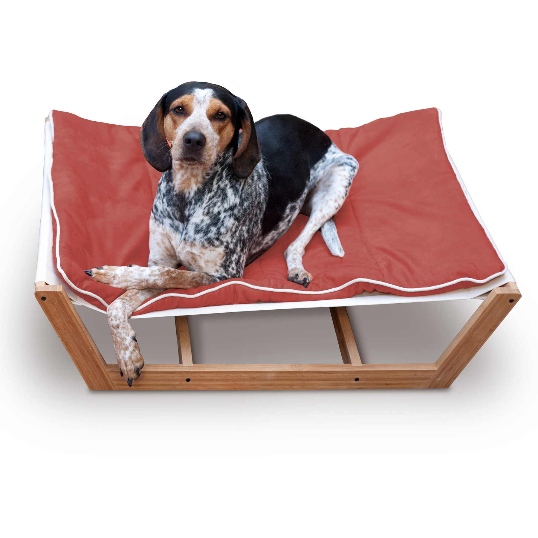 Pet Lounge Studios Bambu Nautical Pet Hammock & Reviews Wayfair