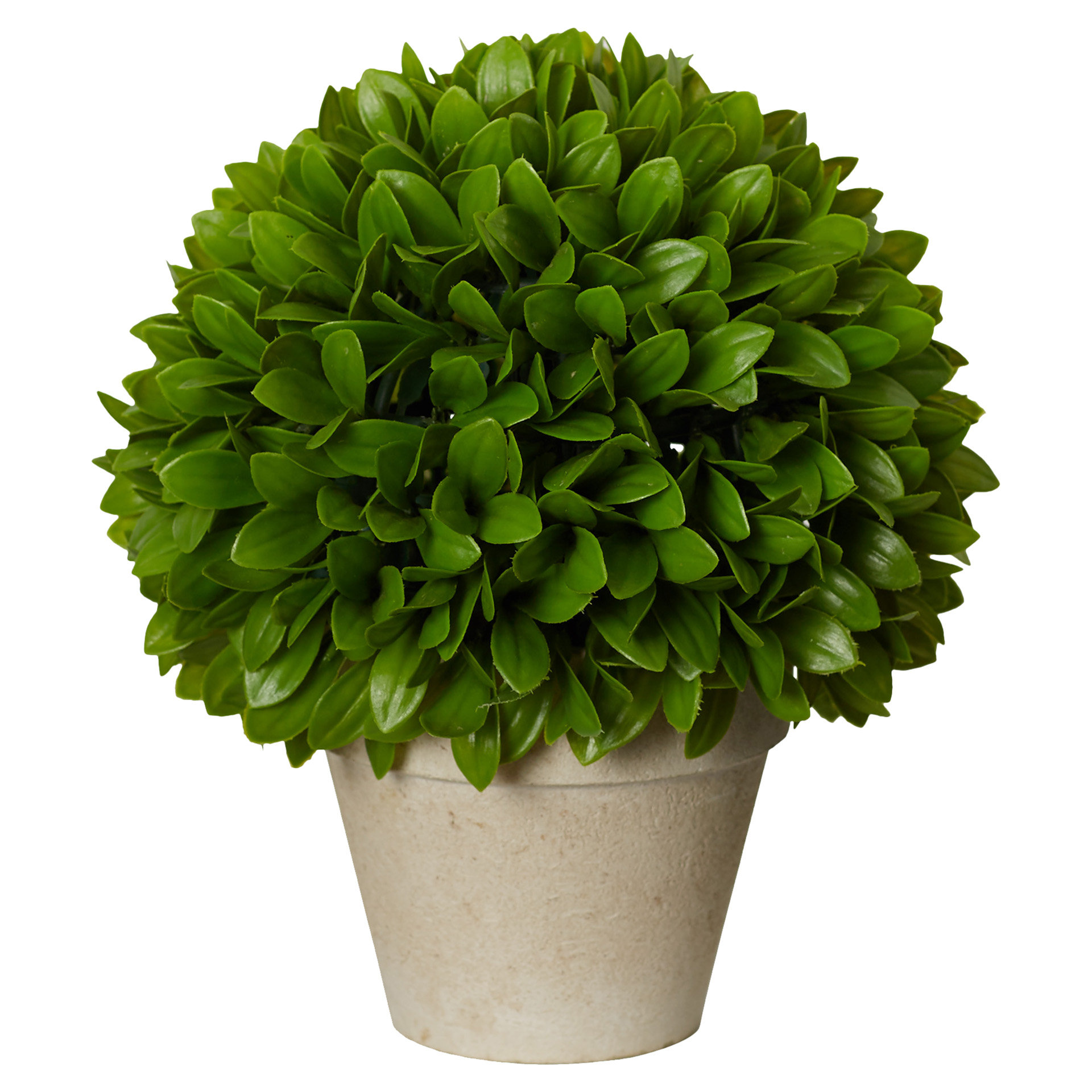 Faux Boxwood Topiary in Rustic Cermaic Pot & Reviews Joss & Main