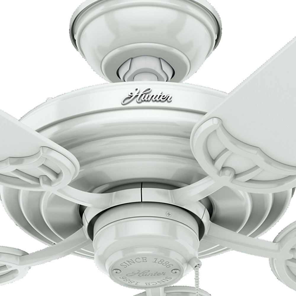 Hunter Fan 52 Sea Air 5 Blade Ceiling Reviews Wayfair Hunter Fan 52 Quot Sea Air Reg 5 Blade Ceiling