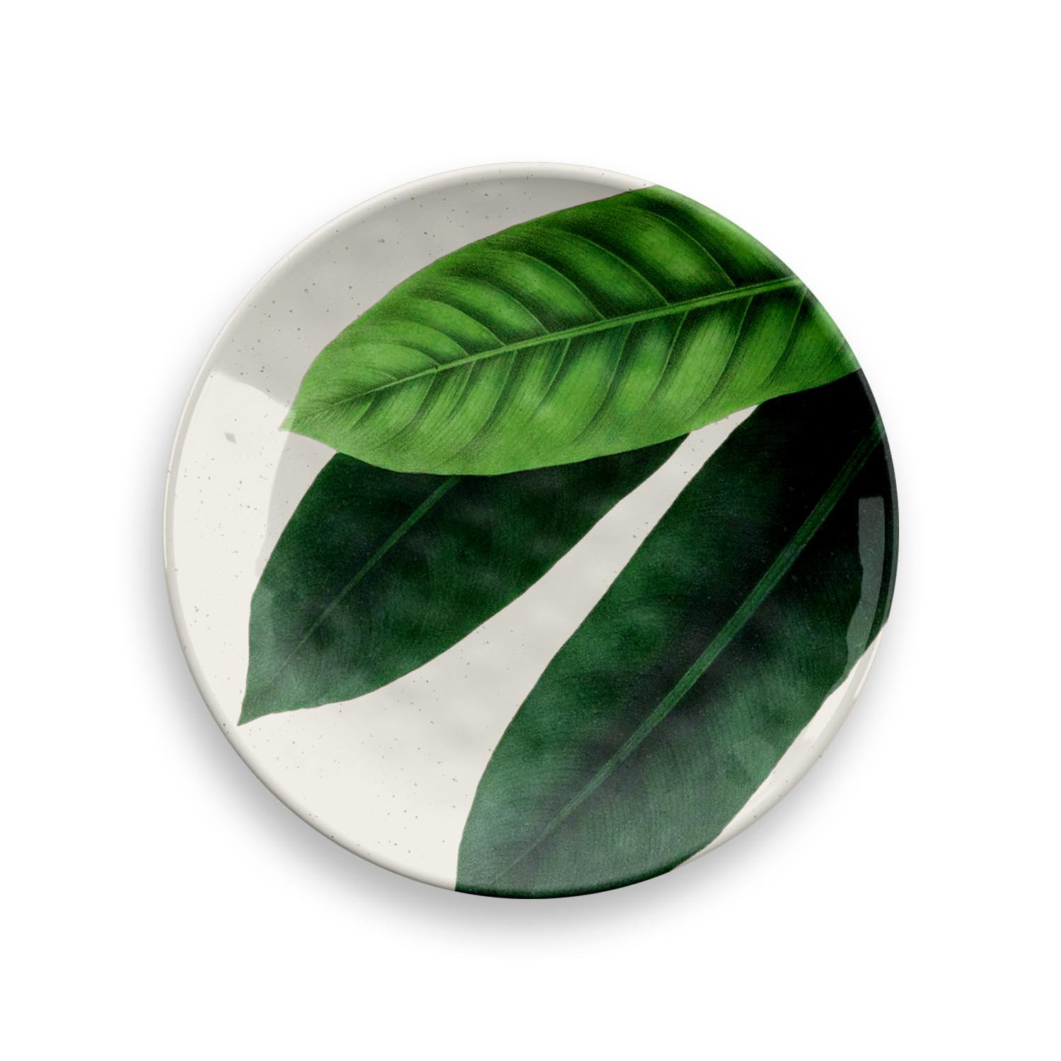 TarHong Amazon Floral 4 Piece Accent Plate Set Wayfair