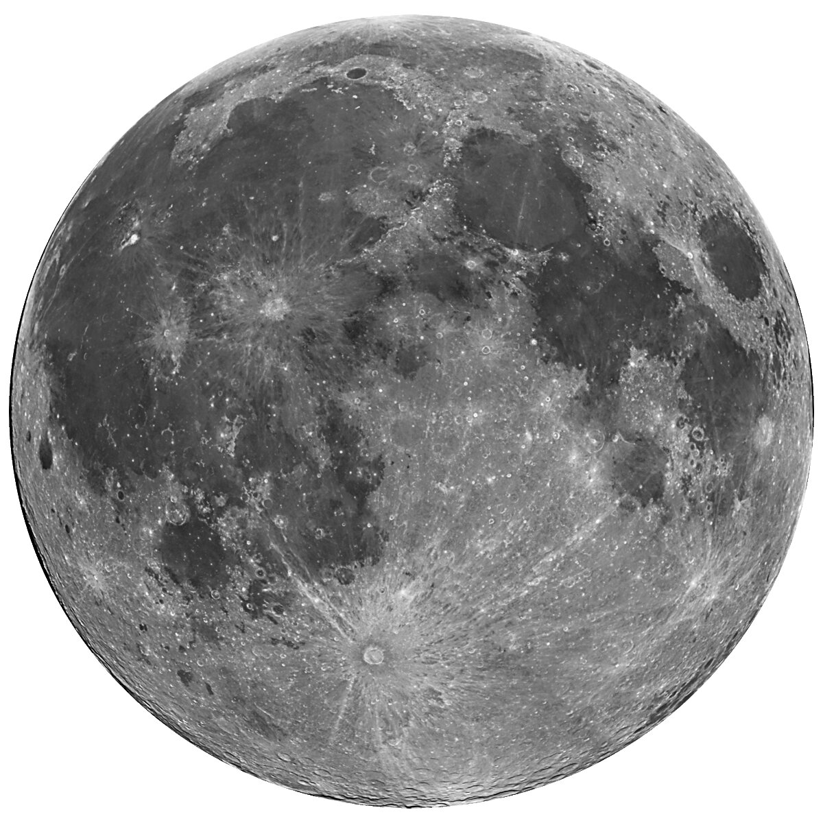 Wallhogs Full Moon Cutout Wall Decal & Reviews | Wayfair.ca