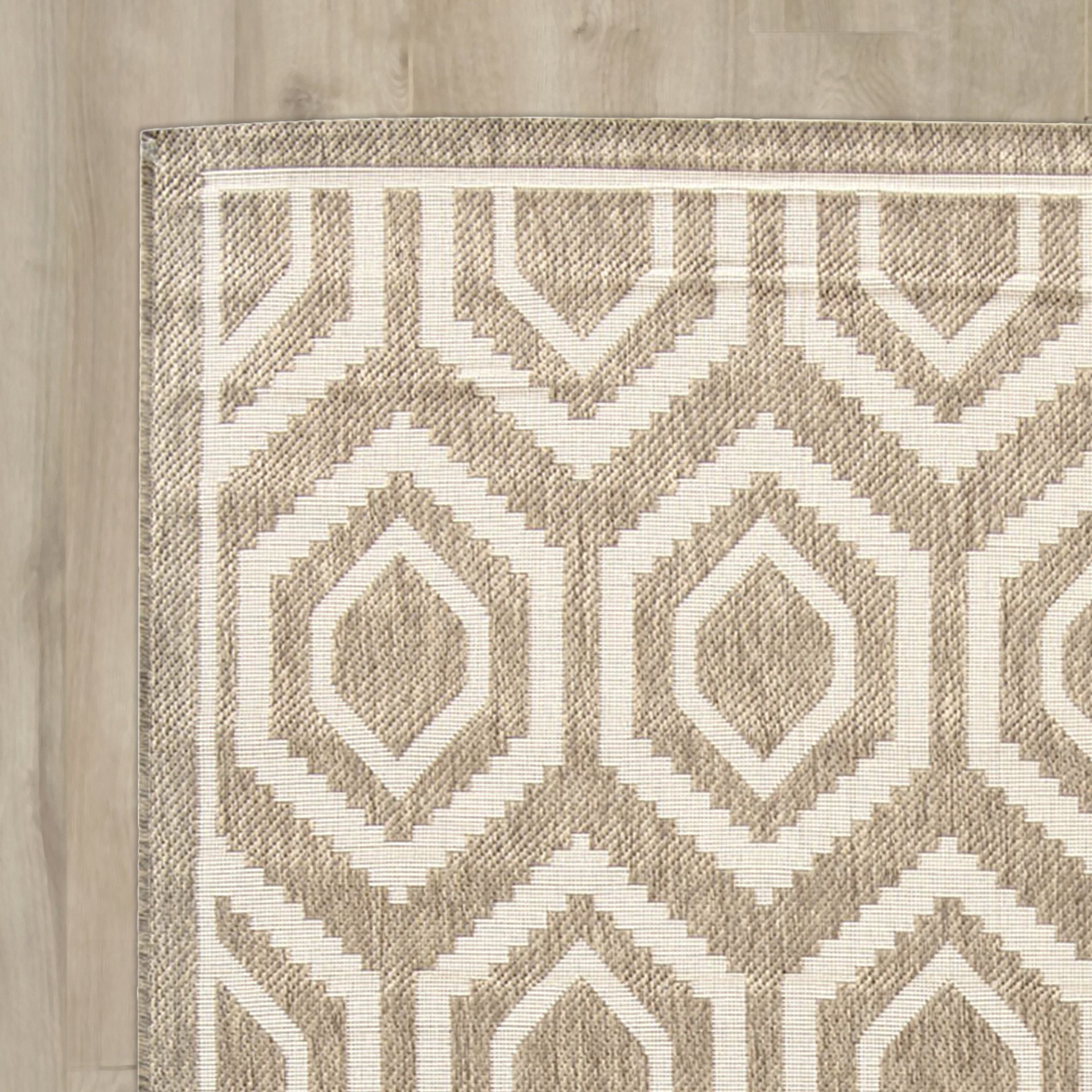 Langley Street Miami Brown/Tan Indoor/Outdoor Area Rug & Reviews Wayfair