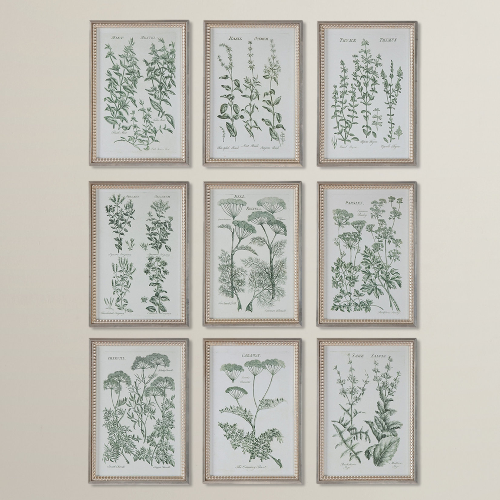 August Grove Herb Garden Prints 9 Piece Framed Graphic Art Set ...