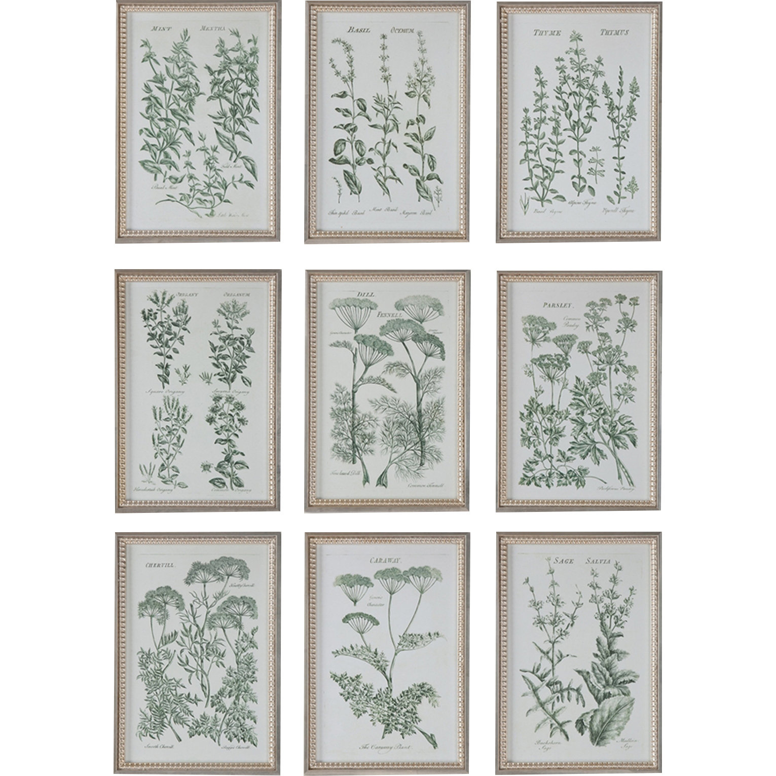 August Grove Herb Garden Prints 9 Piece Framed Graphic Art Set ...