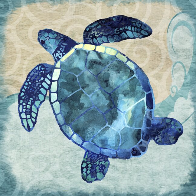 Sea Turtle Canvas Art & Reviews | Joss & Main