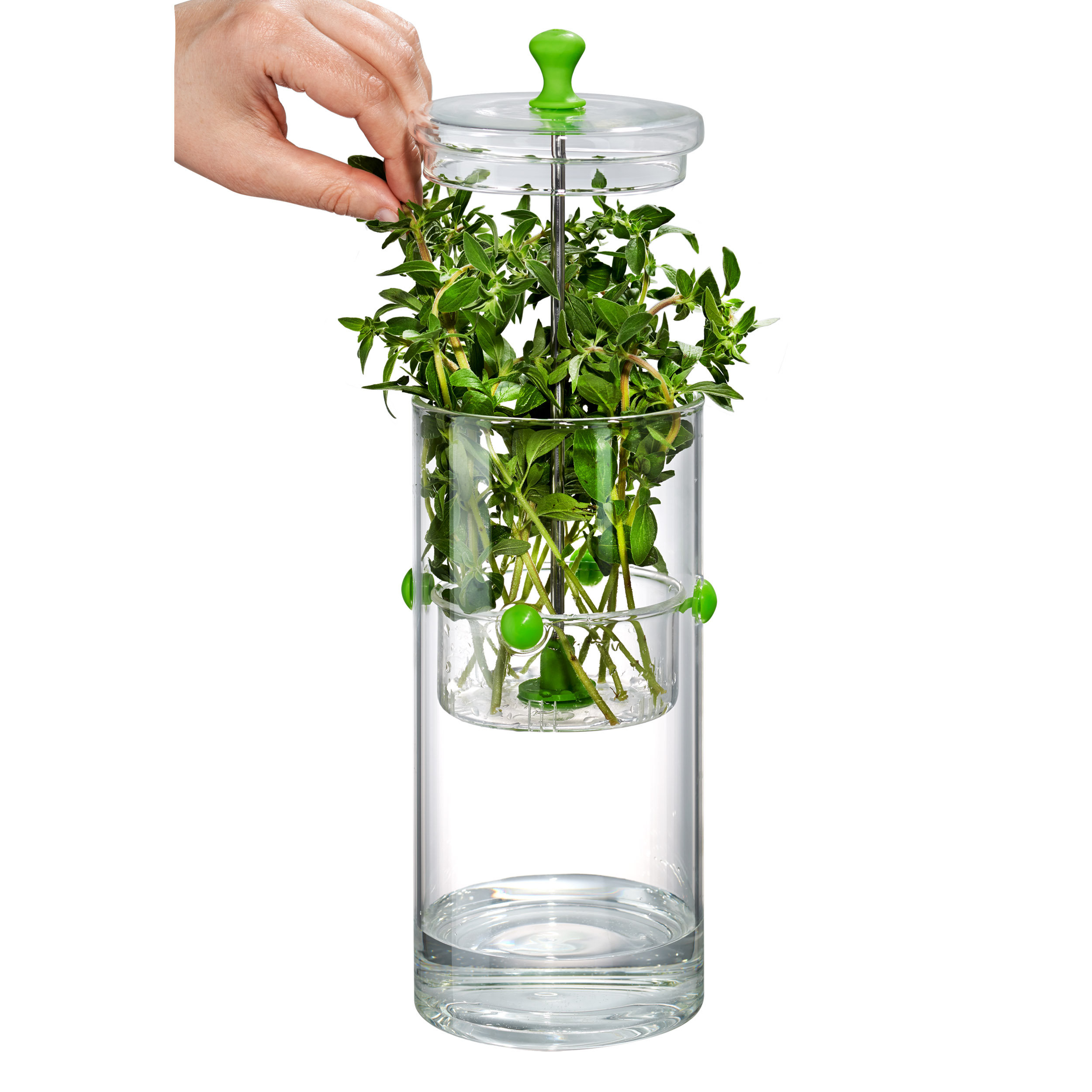 Artland Glass Herb Keeper & Reviews Wayfair