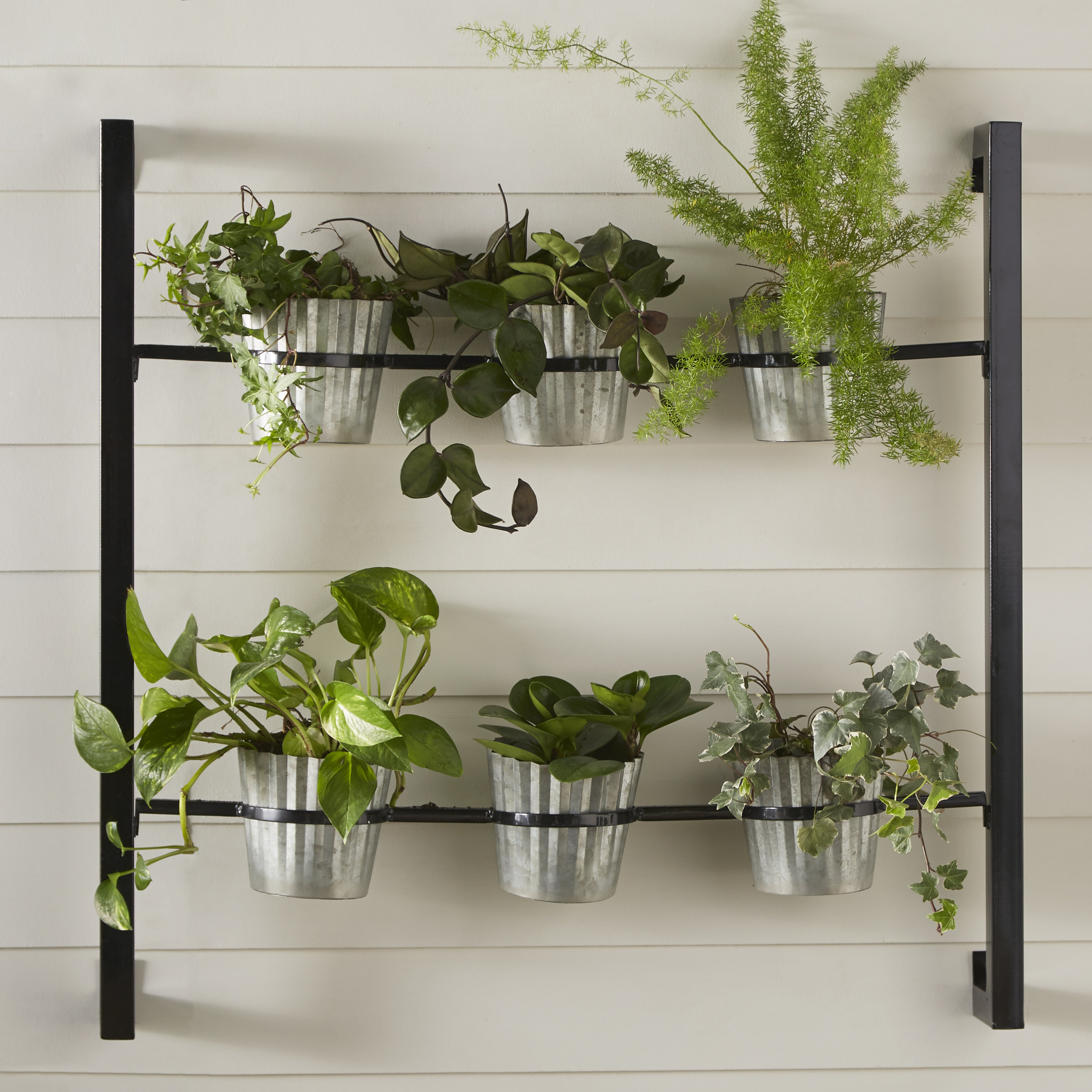 Kate and Laurel 6Piece Groves Metal Wall Planter Set