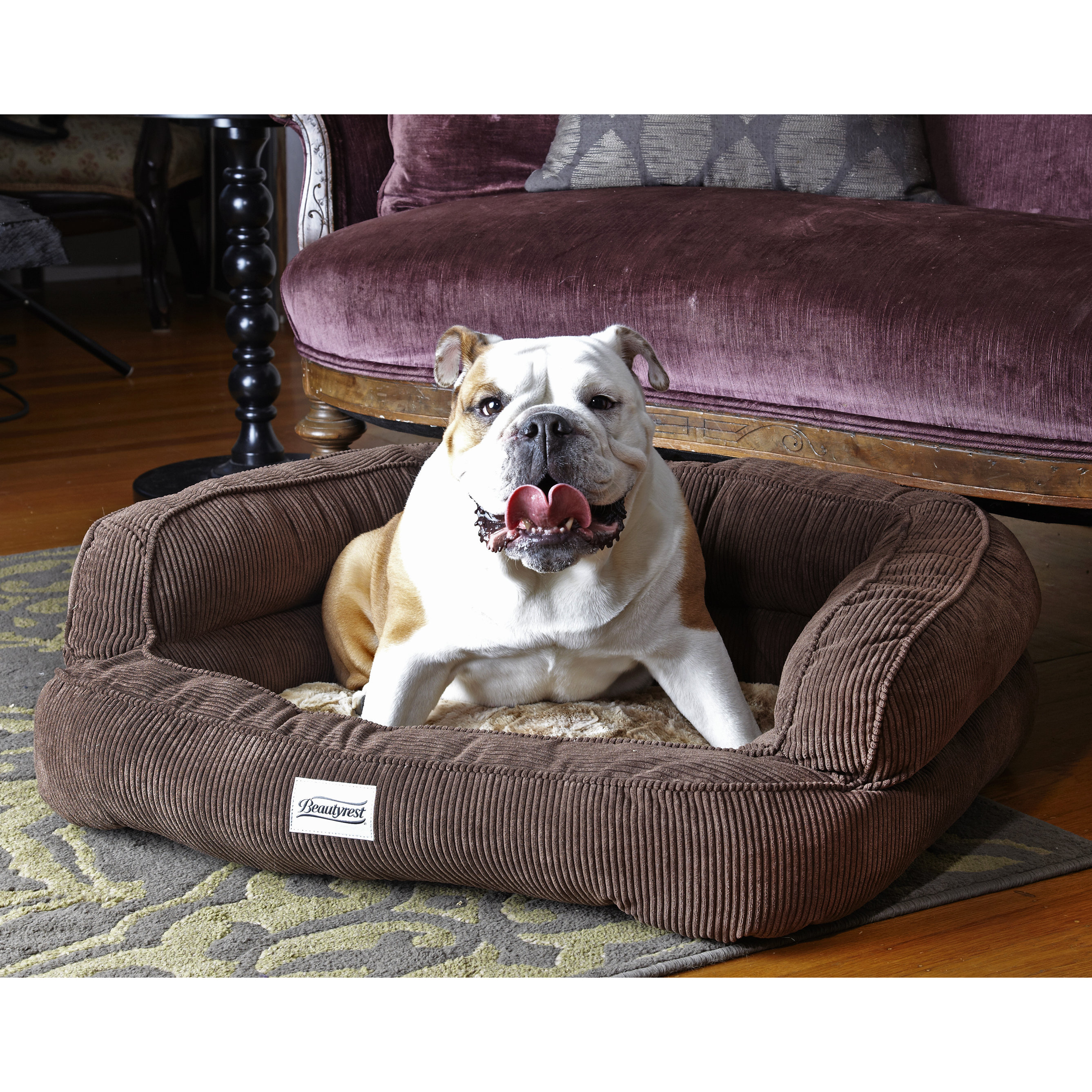 beautyrest dog bed cuddler