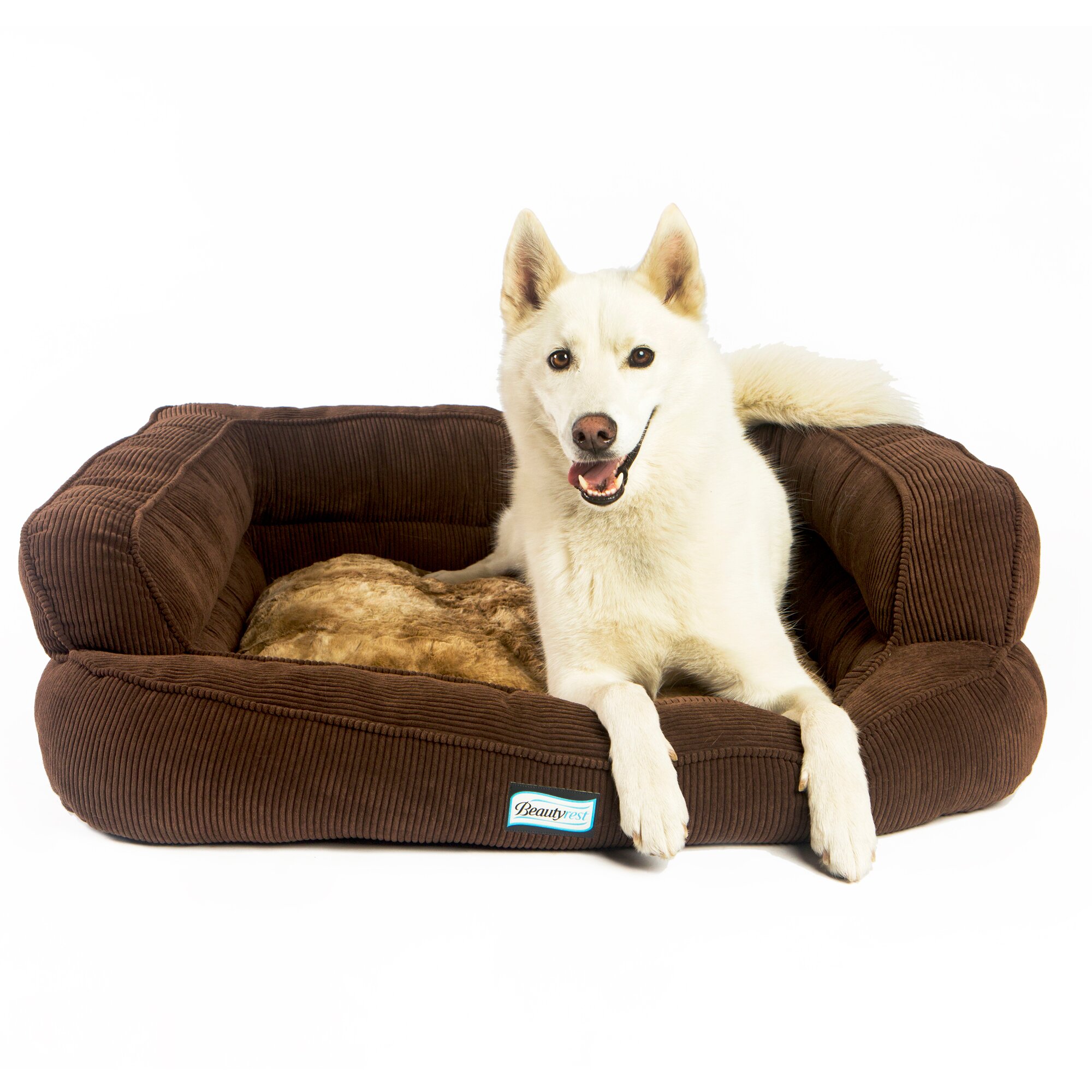 beautyrest ultra plush orthopedic foam pet bed