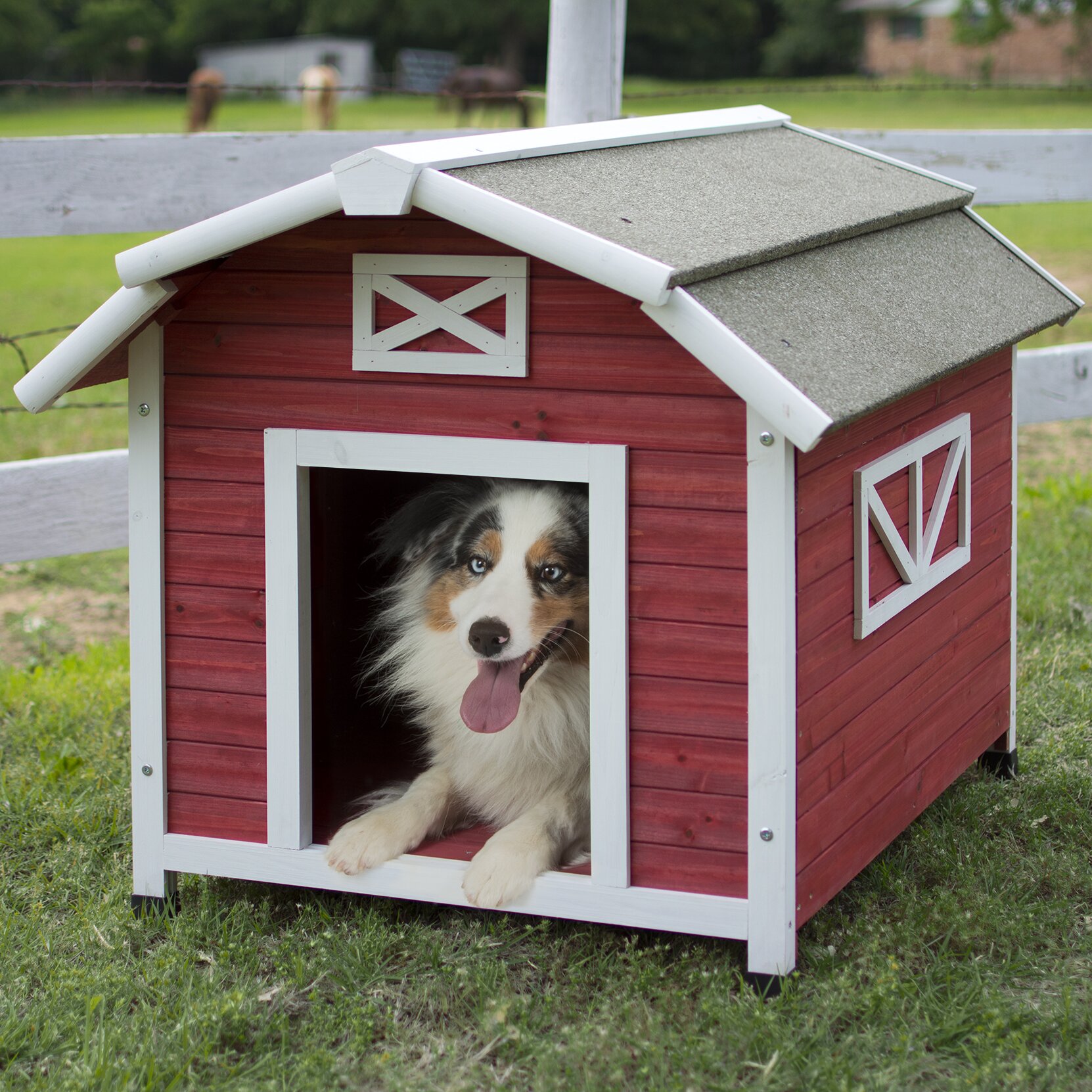 Precision Pet Old Barn Dog House & Reviews | Birch Lane