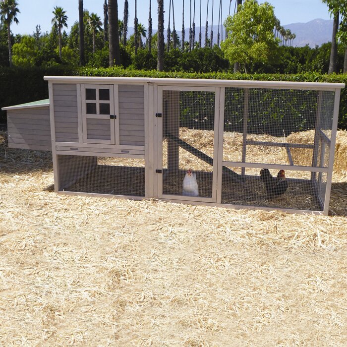 Precision Pet Extreme Chicken Coop &amp; Reviews Wayfair