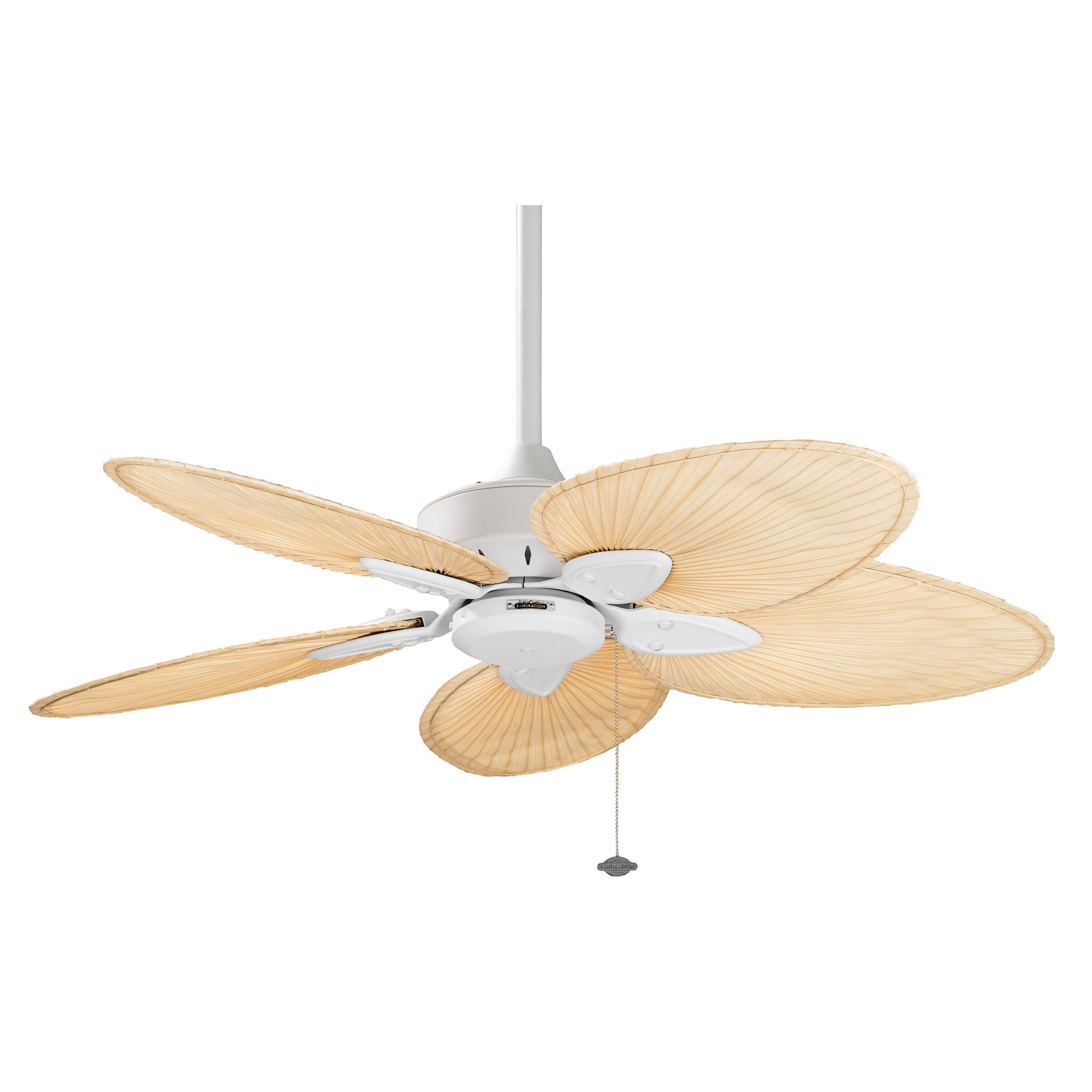 Fanimation Windpointe Ceiling Fan Reviews Wayfair Fanimation Windpointe Ceiling Fan